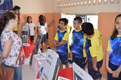 Icev_fund1-2.JPG