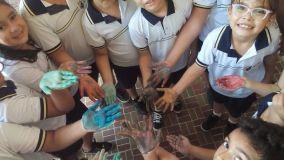 IMG-20190318-WA0068-Copy.jpg