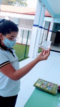 ISJ_0001-4.jpg